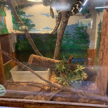 Panola Mountain State Park - How do you feel about snakes ??? - Parks Near Me - Stockbridge, Georgia