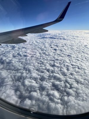 Delta Air Lines by null