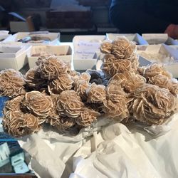 Gypsum Rose Minerals & Fossils - Gypsum Rose !!