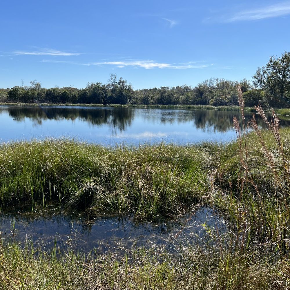 Bell Creek Nature Preserve - Water view - Hiking Near Me - Riverview, Florida