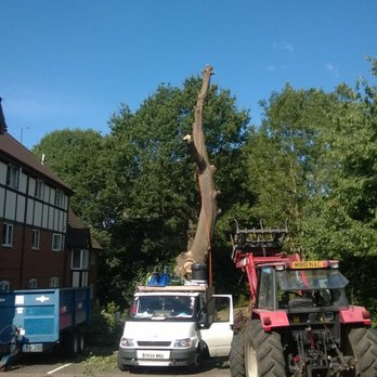 AFC Tree Care - Tree Services Near Me - Uxbridge, BKM