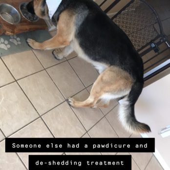 29 Paws Pet Grooming - 29 Paws Pet Grooming - Pet Groomers Near Me - Twentynine Palms, California