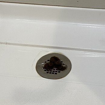 DoubleTree by Hilton Appleton - Hair leading to drain. - Hotels Near Me - Appleton, Wisconsin DoubleTree by Hilton Appleton - Hair leading to drain. - Hotels Near Me - Appleton, Wisconsin