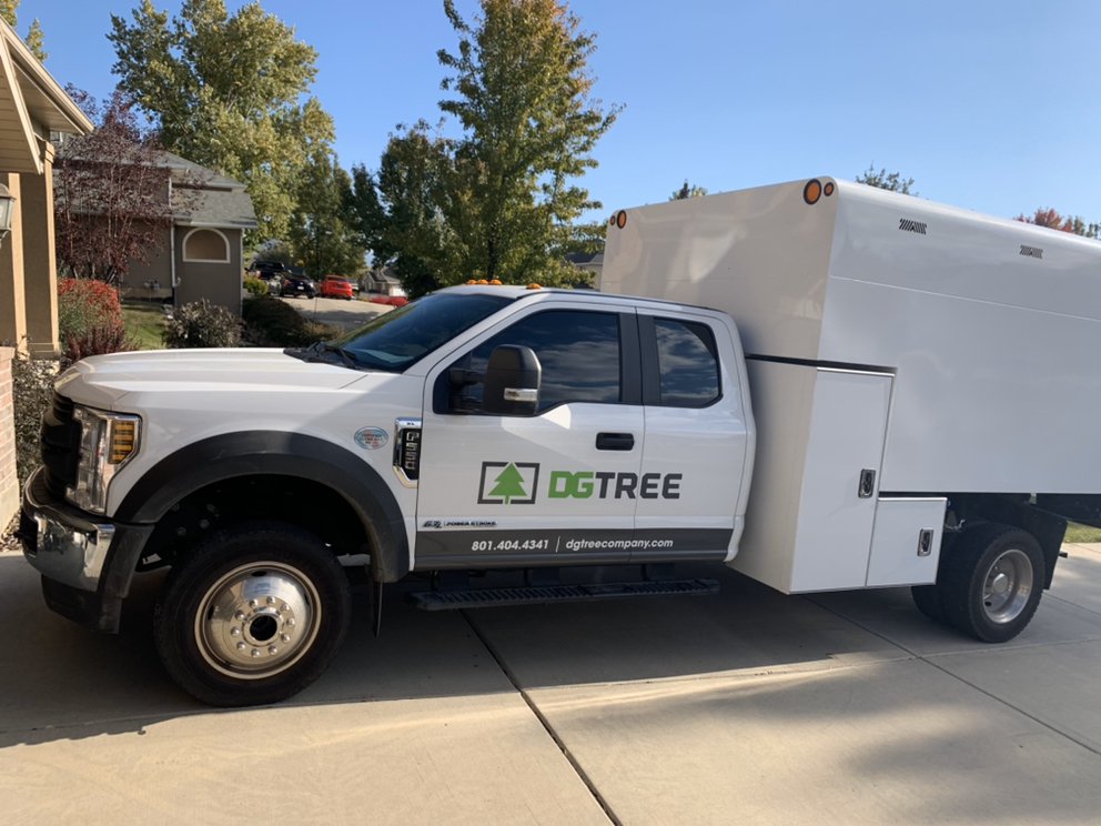 DG Tree - tree service in Orem, UT