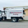 Photo of A 1 Tree Pruning & Removal
