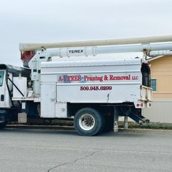 A 1 Tree Pruning & Removal
