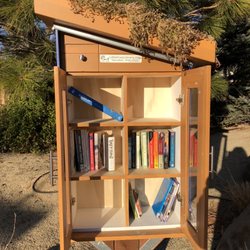 S Arlington Little Free Library - Reno - It's full now with our donation after this picture.