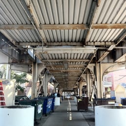 Pigeon poop alley