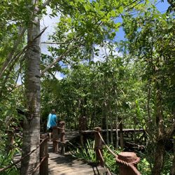Loboc River Resort - Walking to breakfast