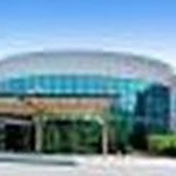 The Orthopedic Institute