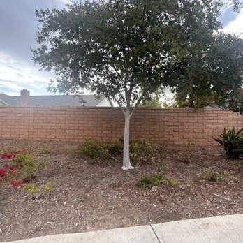 Mendoza Masonry - back side of the wall - Masonry/Concrete Near Me - Lake Forest, California