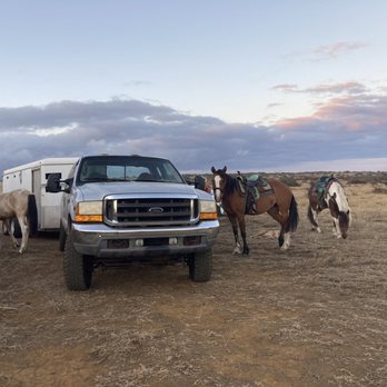 Horseback 2 The Sea - Horseback Riding Near Me Horseback 2 The Sea - Horseback Riding Near Me