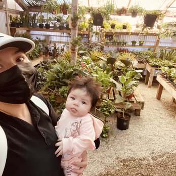 Cricklewood - Greenhouse - Nurseries & Gardening Near Me - Bakersfield, California