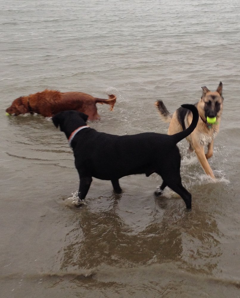 John and Mary Beth's Pet Sitting