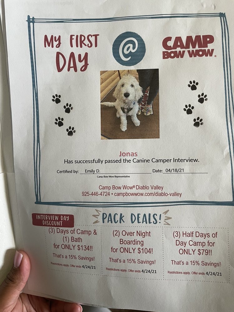 camp bow wow camper application