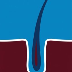 Sandra's Electrolysis - Sandras Logo