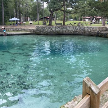 Ponce de Leon Springs State Park - Two dark green spots are caves. - Parks Near Me - Ponce De Leon, Florida Ponce de Leon Springs State Park - Two dark green spots are caves. - Parks Near Me - Ponce De Leon, Florida