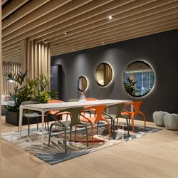 Roche Bobois