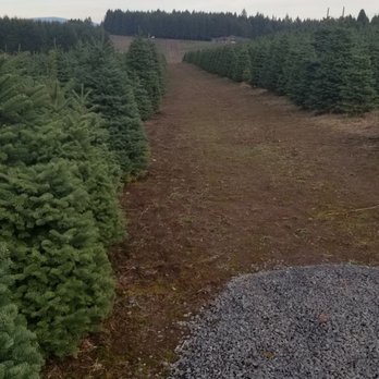 Hemphill Farms - Acreage of trees - Attraction Farms Near Me - Oregon City, Oregon