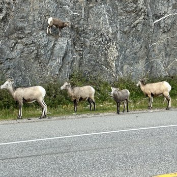 Jasper National Park - Parks Near Me
