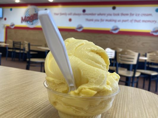 Magill's World of Ice Cream by null