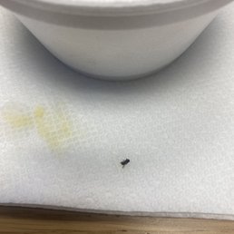 A FLY!!! Found it my Soupa De Pollo. Don't eat from this place! Unsanitary.