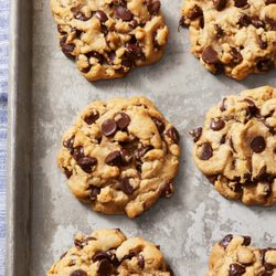 Sunshine Bakery - Fresh gooey chocolate chip cookies!