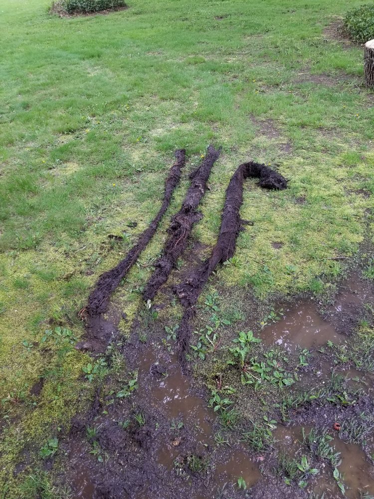 Slide of Arc-O-Rooter