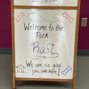 Dog Day Everyday - They rolled out the red carpets for my pups 1st day! - Pet Sitting Near Me - West Chester, Ohio Dog Day Everyday - They rolled out the red carpets for my pups 1st day! - Pet Sitting Near Me - West Chester, Ohio