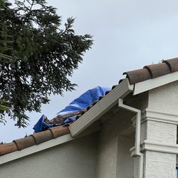 Green Thumb Tree Care - Temporary roof tarp after tree removal.