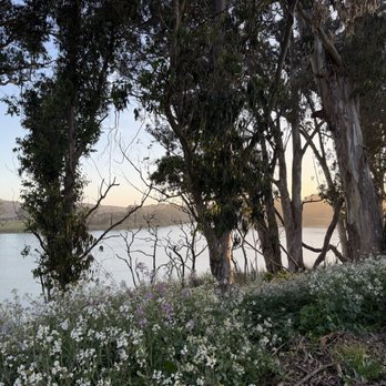Lake Merced - Parks Near Me Lake Merced - Parks Near Me