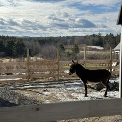 Orchard Ridge Farm and Specialty Food Market