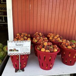 Virginia Farm Market
