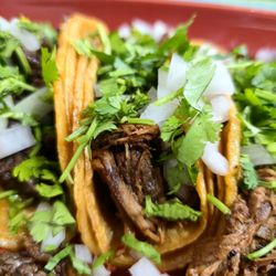 Los Cabos Mexican Bar & Grill