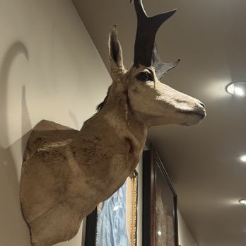 Reata - Fun decor - New American Near Me - Fort Worth, Texas