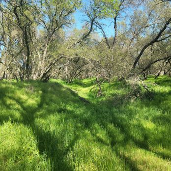 American River - Lakes Near Me