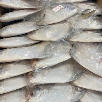 ◇Fish Market◇２２×２０×１５◇ ◇ SAM'S SEAFOOD MARKET - Updated September 2025 - 34 Photos