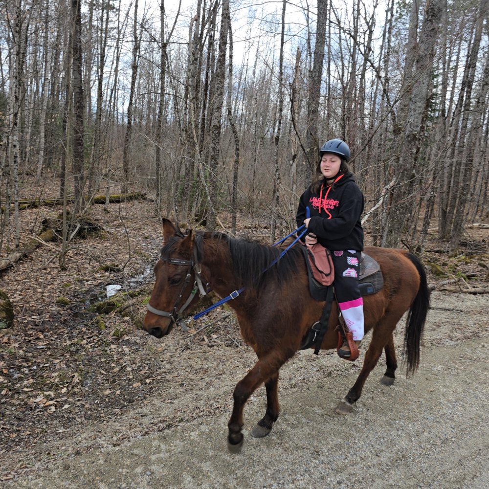 Horses For Hire - Horseback Riding Near Me - Peru, Vermont