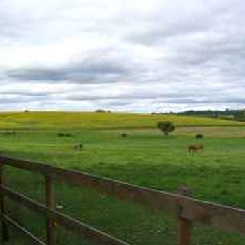 Daniluk Farm & Stables, LLC - Extensive grass turnout - Horse Boarding Near Me - Camillus, New York Daniluk Farm & Stables, LLC - Extensive grass turnout - Horse Boarding Near Me - Camillus, New York