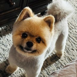My handsome little teddy bear. . My handsome little teddy bear. .
