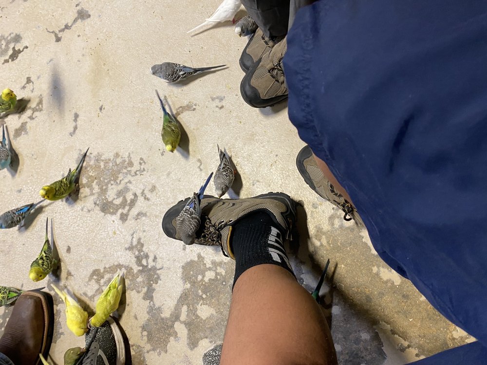 AUSTIN AQUARIUM 1332 Photos & 967 Reviews 13530 N Hwy 183, Austin, Texas Aquariums Phone