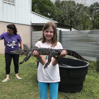 Kliebert & Son's Gator Tours - Tours Near Me - Ponchatoula, Louisiana Kliebert & Son's Gator Tours - Tours Near Me - Ponchatoula, Louisiana