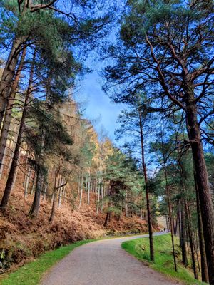 Glendalough by null