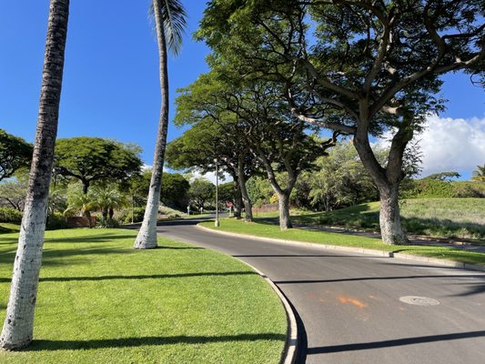 Manele Golf Course by null