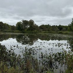 Tinkers Creek State Nature Preserve - View