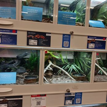 PetSmart - Amphibians - Pet Training Near Me - Paramus, New Jersey