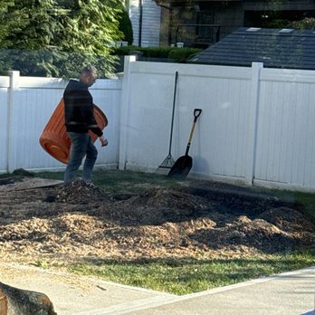 Campos Tree Service - Final steps - Tree Services Near Me - Central Islip, New York