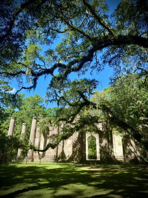 Old Sheldon Church Ruins by null