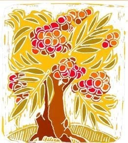 RowanTree Holistic Wellness Logo
