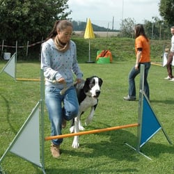 Hundeschule Inu